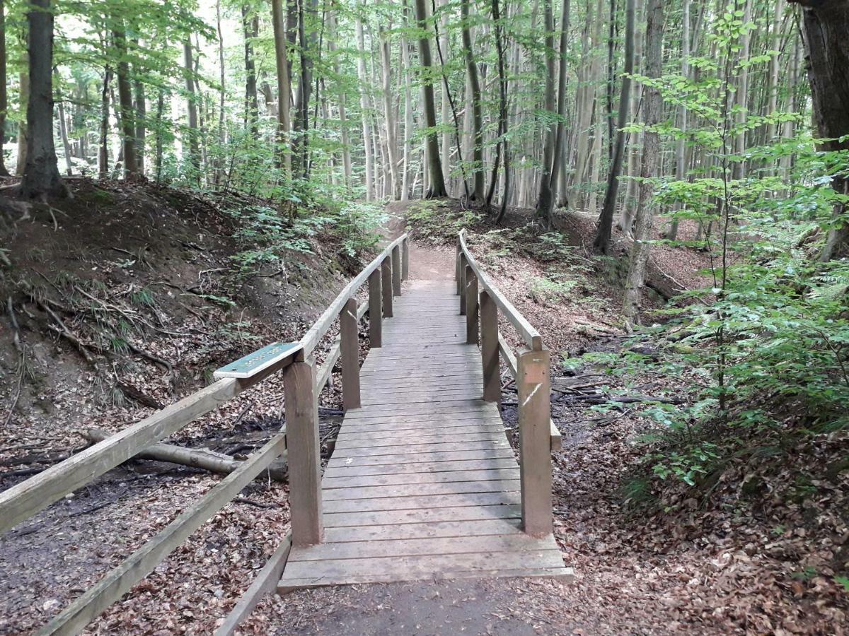 Ferienwohnung Wellenreiter Sassnitz Exteriör bild